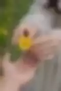 잠긴 영상
