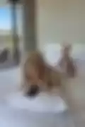 잠긴 영상